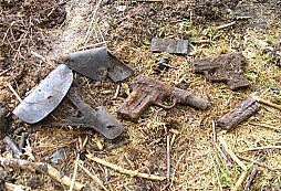 Čtvrteční dopoledne