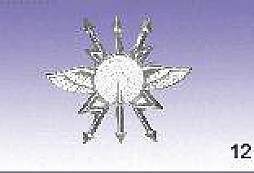 Rozlišovací znaky druhů vojsk AČR