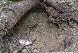 Menší poklad na Vysočině - I. díl