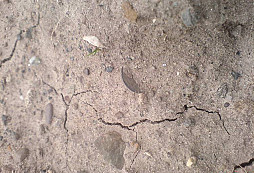 Opět Skotsko, opět jedno pole