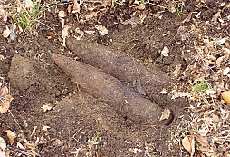 Nědělní nález munice