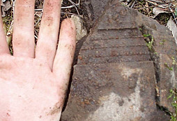 Nález majitele lesa