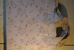 ANDREE'S HANDATLAS - 1881