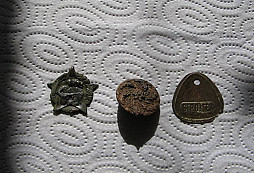 Pár drobností z lesa od brndoše