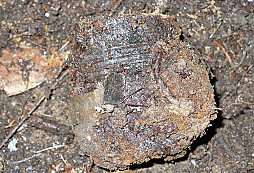 Posledních pár nálezů