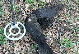 První den s novým detíkem