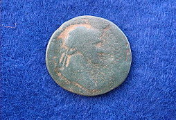 Novinky z nasho lesika