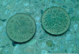 Páteční polní hledání