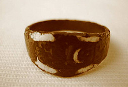 Něco málo co les dal