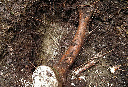 Smeťák - dobrá rada nad zlato