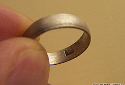 Z posledních vycházek