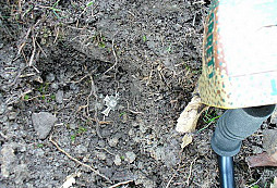 Dohledávka sudeťáka