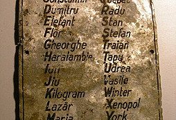 Prasárničky, prasata, prasák a něco k určení