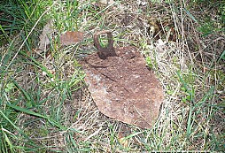 Nálezy za poslední měsíc