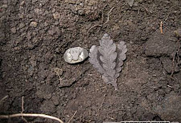 Pár kousků ze srazu