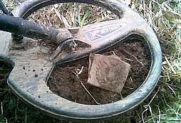 Krasavice z Feldenbergu