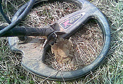 Veterán z Feldenbergu