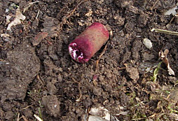 Trochu veteše z německých pozic