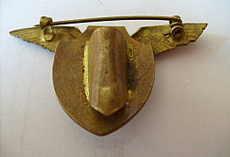 Pomoc s určením odznaku