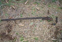 Nedělní procházka se vydařila