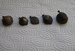 Za měsíc hledání od brndoše