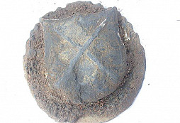 Čo je to za odznak?