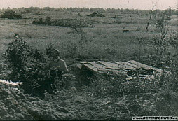 Pár zapomenutých fotek - německý týdeník