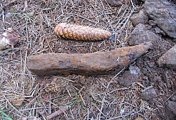 U vyhaslých milířů