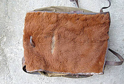 Telátko s blembákem