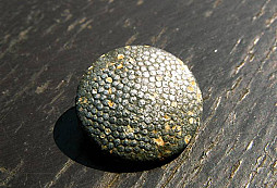 Můj první kousek Mausera