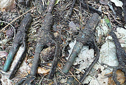 Něco málo WWII z víkendu