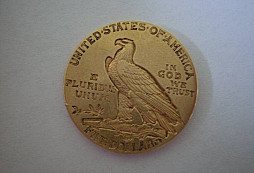 Nález v lese "borku"