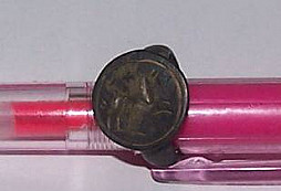 Prozba o určení prstenu