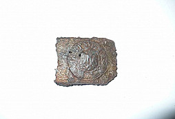 Očištěný mrzáček