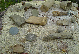 Me prvni nalezy s novym detikem