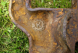 Pásovec, ale jaký?