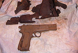 Tento týden se dařilo