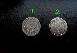 Opět mincičky z lesa a kapradí