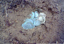 Depot stříbrných mincí