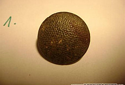 Pár knoflíků z poslední doby