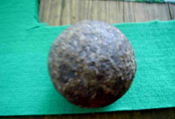 Má doba nejoblíbenější doba napoleonská