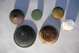 Nálezy z lesa a louky