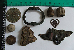 Lvíček a další drobotina z louky