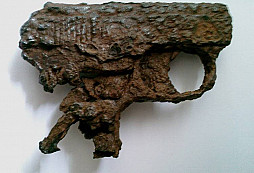 Pistolka a čepičák?