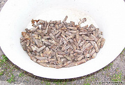 Sobotní procházka lesem