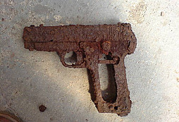 Pistolka - žádost o určení