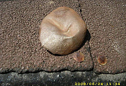 Část lžičky s korunkou