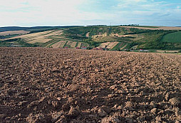 Předmět k určení