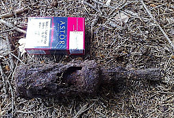 Prosím o určení nálezu