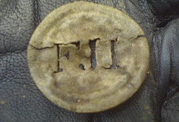 Včera v lese za deště